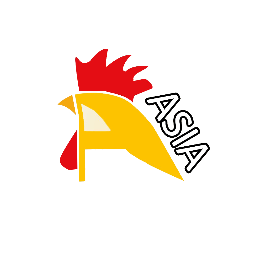Asian chicken